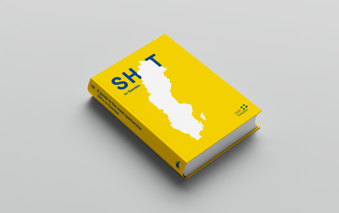 SH!T in Sweden